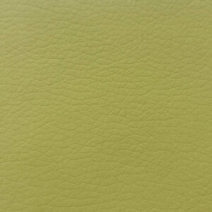 Бостон 11 оливка