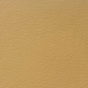 Бостон 20 абрикос