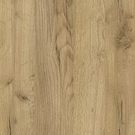 Дуб крафт золотий